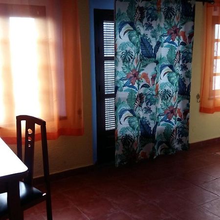 Sunshine Apartment At Tropical Coast Of Granada Almuñécar Kültér fotó